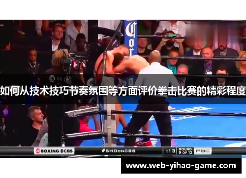 如何从技术技巧节奏氛围等方面评价拳击比赛的精彩程度 如何从技术技巧节奏氛围等方面评价拳击比赛的精彩程度