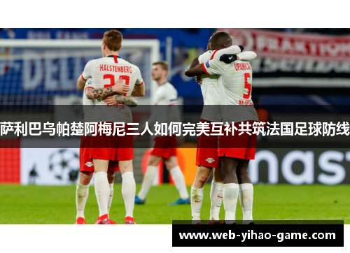 萨利巴乌帕楚阿梅尼三人如何完美互补共筑法国足球防线